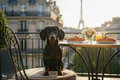 Mia in Paris Print — Instant Digital Download
